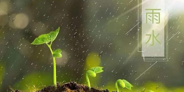 雨水 | 潤澤萬物，耀先環境愿你得綿遠深情